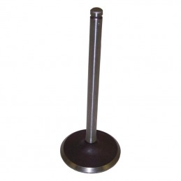 Intake Valve