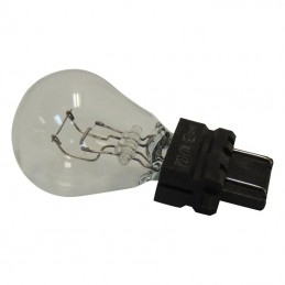 Front Bulb