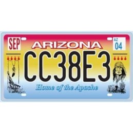 License Plate USA